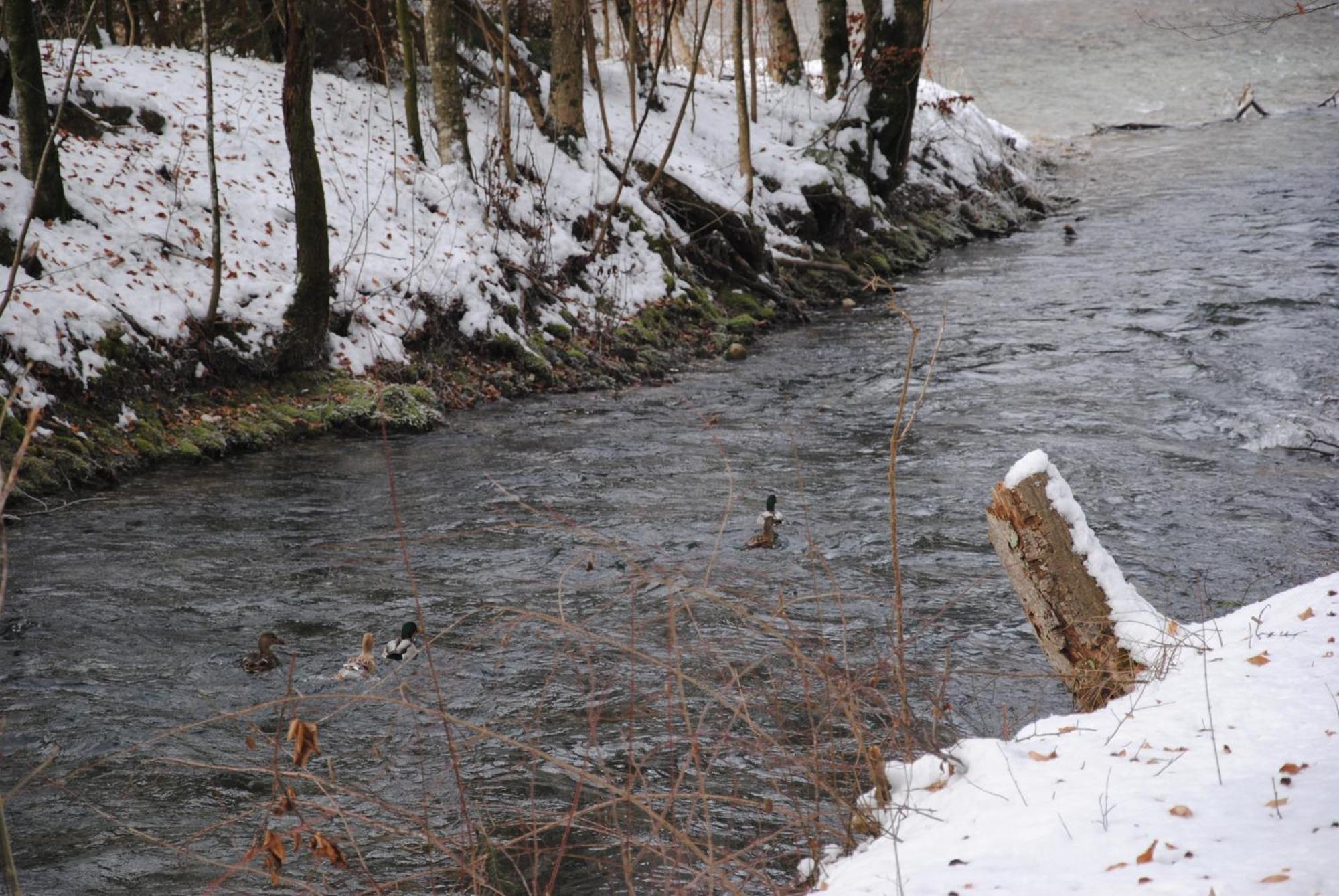 Gaestehaus Schroeder Ruhpolding Bagian luar foto