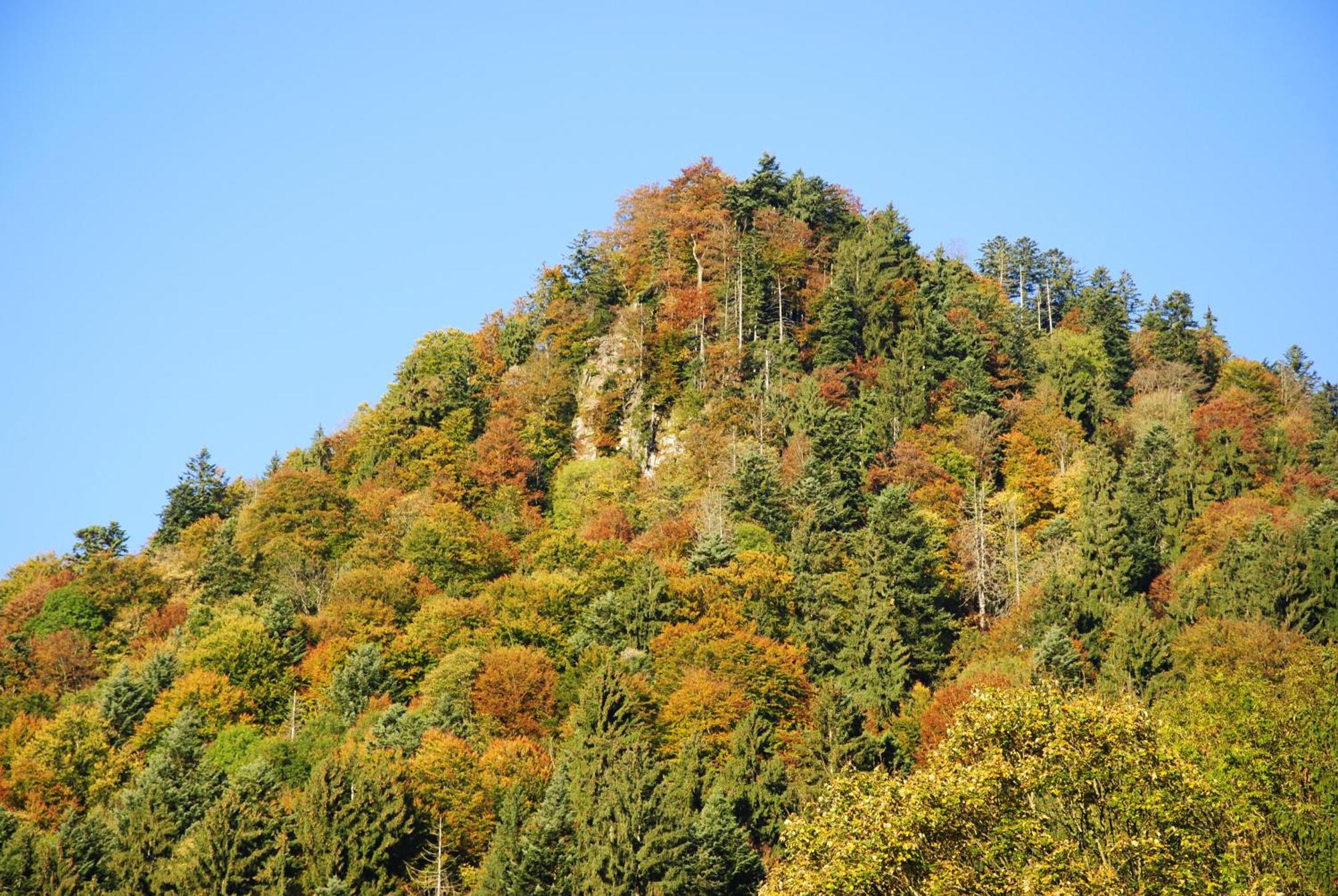Gaestehaus Schroeder Ruhpolding Bagian luar foto